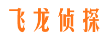 莲花侦探